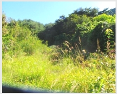  2025Ÿ��50882 ���� �籸�� ���� ĥ���� 65-1      ����(��1)���