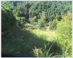  2025Ÿ��50882 ���� �籸�� ���� ĥ���� 65-1      ����(��1)���