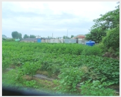  2025Ÿ��50894  �����