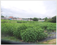  2025Ÿ��50894  �����