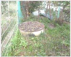  2025Ÿ��50913 ���� ������ �⸰�� �ϸ� 1243-4      ���ð��