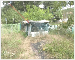  2025Ÿ��50913 ���� ������ �⸰�� �ϸ� 1243-4      ���ð��