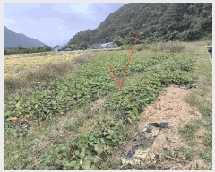  2025Ÿ��50922  �����