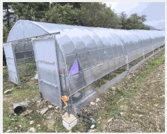  2025Ÿ��50922  �����