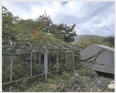  2025Ÿ��50922  �����