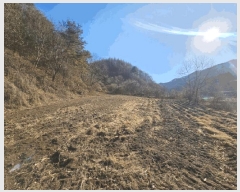  2025Ÿ��50954 ���� ȫõ�� ���͹̸� ���ʸ� 274-2      ����(��1)���