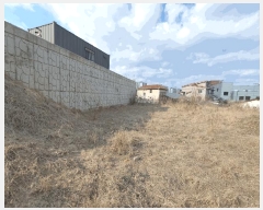  2025Ÿ562  õ  õ 891-3      ()