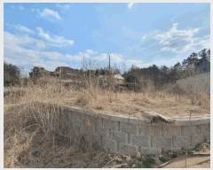  2025Ÿ562  õ  õ 891-3      ()