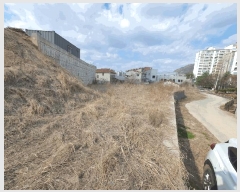  2025Ÿ562  õ  õ 891-3      ()