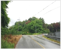  2025Ÿ606  õ ŵ  10      (Ӿ)