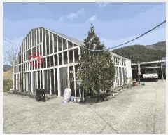  2025Ÿ682  ȫõ  ȭ 852      ð