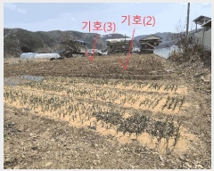  2025Ÿ682  ȫõ  ȭ 852      ð