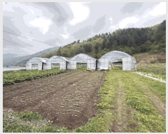  2025Ÿ767  ȫõ   506-22      (1)