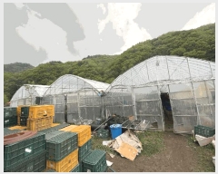  2025Ÿ767  ȫõ   506-22      (1)