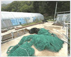  2025Ÿ767  ȫõ   506-22      (1)