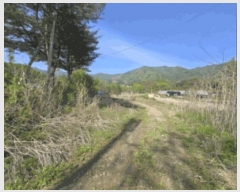  2025Ÿ880  ȭõ  ȣ 1160      ()