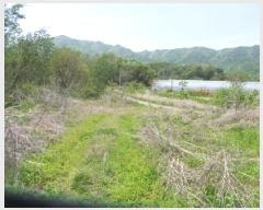  2025Ÿ880  ȭõ  ȣ 1160      ()