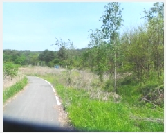  2025Ÿ880  ȭõ  ȣ 1160      ()