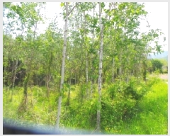  2025Ÿ880  ȭõ  ȣ 1160      ()