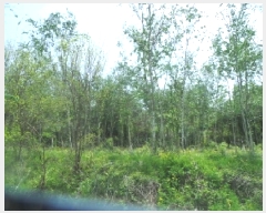  2025Ÿ880  ȭõ  ȣ 1160      ()