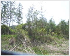  2025Ÿ880  ȭõ  ȣ 1160      ()