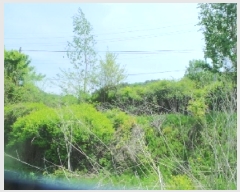  2025Ÿ880  ȭõ  ȣ 1160      ()