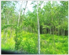  2025Ÿ880  ȭõ  ȣ 1160      ()