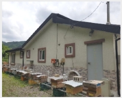  2025Ÿ��1166  ���ð��