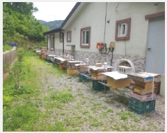  2025Ÿ��1166  ���ð��