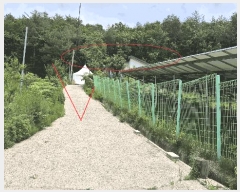  2025Ÿ��1166  ���ð��