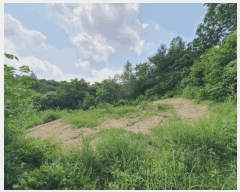  2025Ÿ��1234  �Ӿ߰��