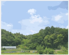  2025Ÿ��1234  �Ӿ߰��