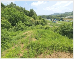  2025Ÿ��1234  �Ӿ߰��