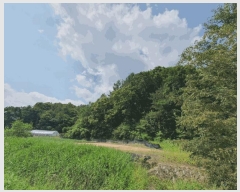  2025Ÿ��1234  �Ӿ߰��