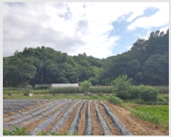  2025Ÿ��1234  �Ӿ߰��