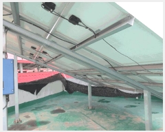  2025Ÿ1241  õ  94-13       ٰð