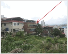  2025Ÿ1241  õ  94-13       ٰð