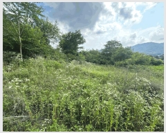  2025Ÿ��1364  �����