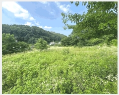  2025Ÿ��1364  �����