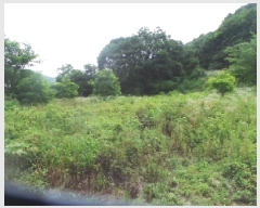  2025Ÿ��1364  �����