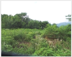  2025Ÿ��1364  �����