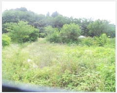  2025Ÿ��1364  �����