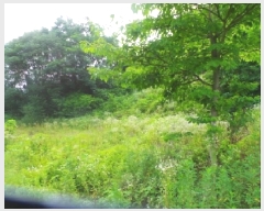  2025Ÿ��1364  �����