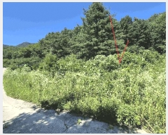  2025Ÿ��1449 ���� ȫõ�� ���͹̸� ��õ�� ��207-2      ����(�Ӿ�)���