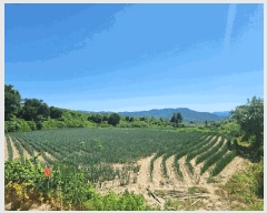  2025Ÿ��1562  �����