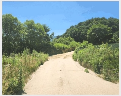  2025Ÿ��1562  �����