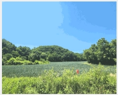  2025Ÿ��1562  �����