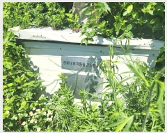  2025Ÿ��1562  �����