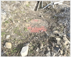  2025Ÿ��1647 ���� ȭõ�� �ϳ��� ���� 795-3      ���ð��