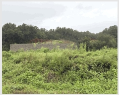  2025Ÿ1760  õ ź  50-47      (Ӿ)